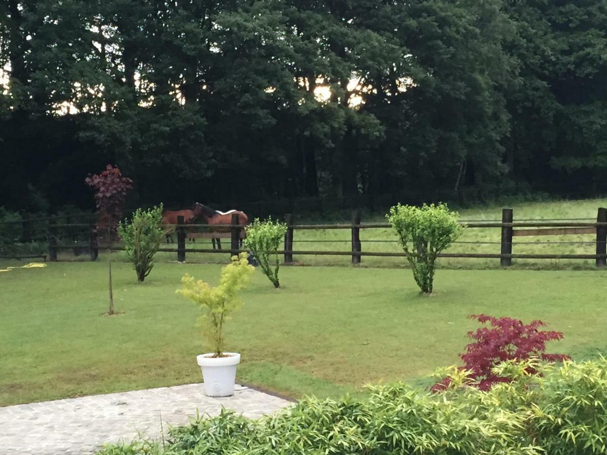 Domaine Des Bruyeres Bed & Breakfast Sains-en-Amienois Luaran gambar